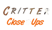 Critter Close-Ups