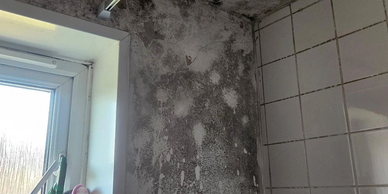 Wall corner with extensive black mold near a window and tiled surface.