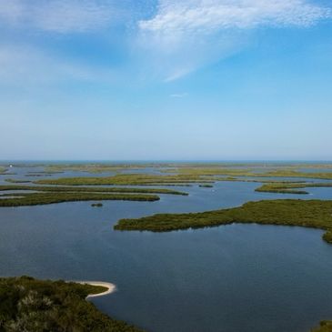 An aerial photograph of the Indian River Lagoon and the mangroves. 
