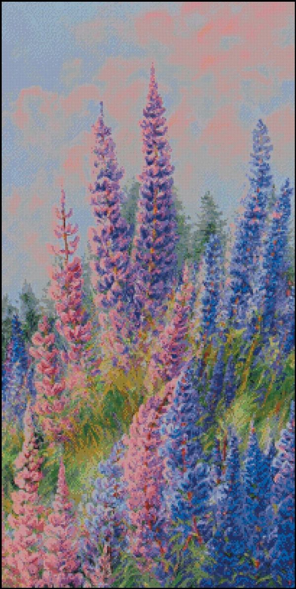 Luminous Lupines © John McFaul
