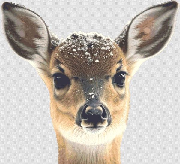 Snowflakes on My Nose - Artwork credited to Pixabay.com