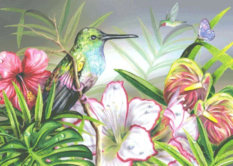 Lovely Hummingbird PDF