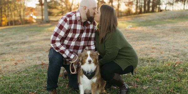 Dog photo shoot care 