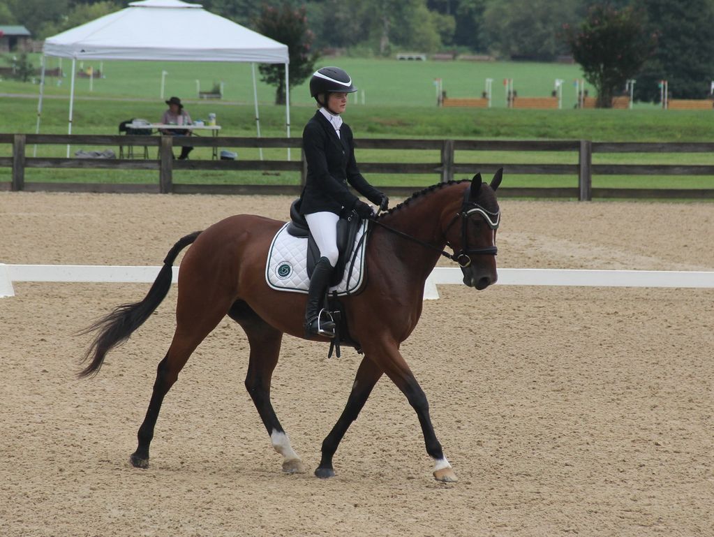 Rider in formal attire on a trotting horse in an equestrian arena.