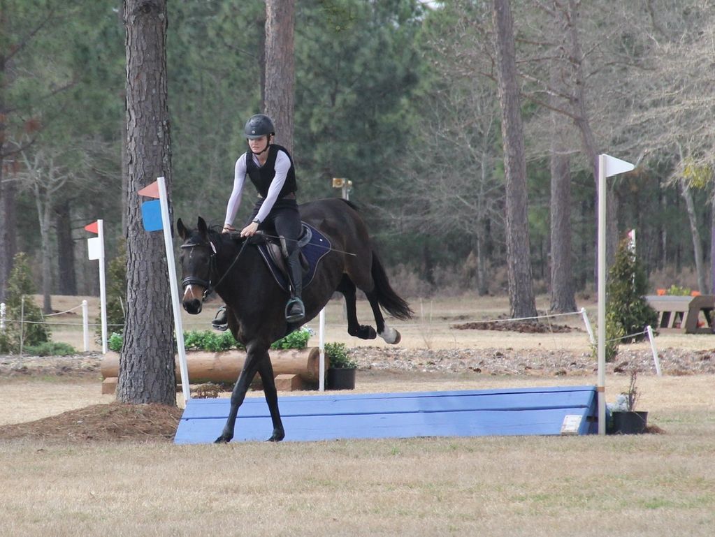 Equestrian rider on a horse navigating a jump in an outdoor course.