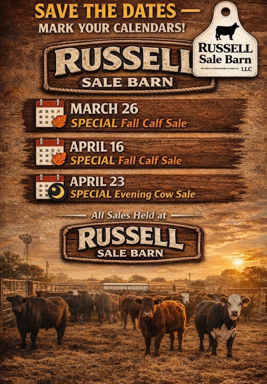 Save the dates for Russell Sale Barn's special calf and cow sales in March and April.