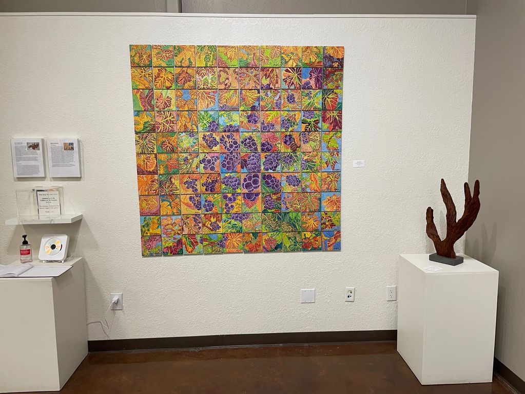 Exhibition at 48 Natoma Gallery, Folsom, CA