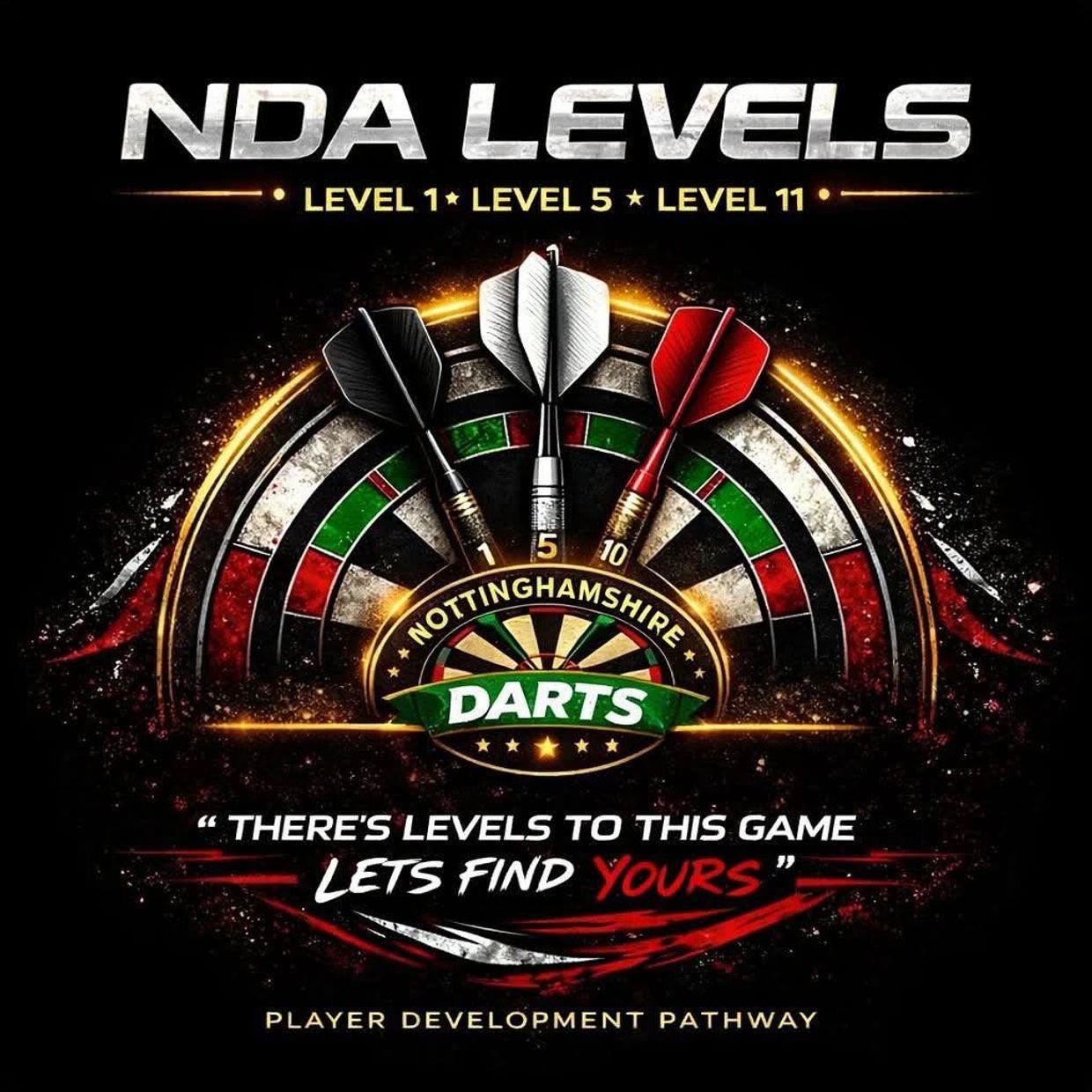 Nottinghamshire Darts NDA Levels showing three dart levels with a motivational quote.