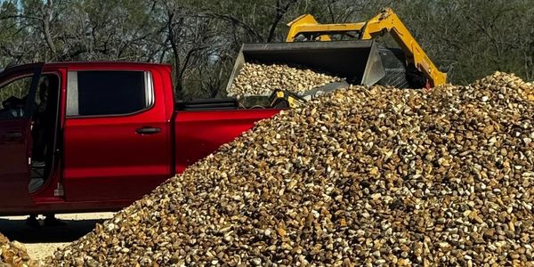 Yellow loader dumping rocks into a red pickup truck bed beside a large pile of rocks.