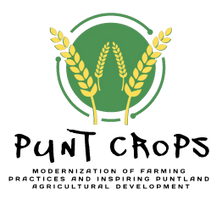 Punt Crops