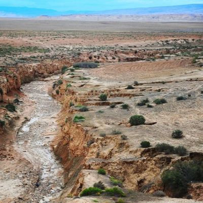 Desolation - A Waterless Desert Plateau