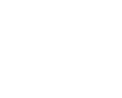 Portal Audio