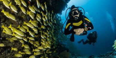 diving at nusa dua tanjung benoa