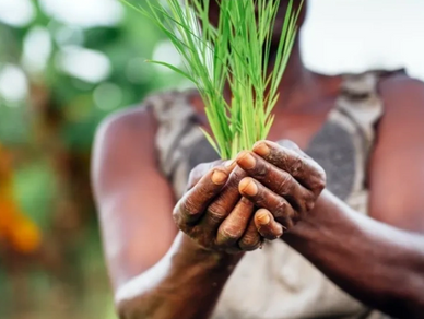 A second look at agricultural business like an expert!