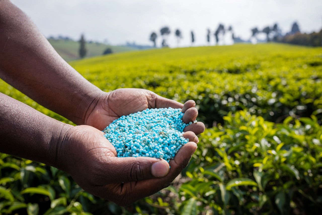 Synthetic fertilizer deals