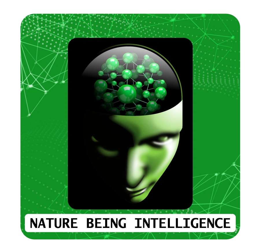 Nature Being Visual Recognition Logo.
The of Its Kind in The World.