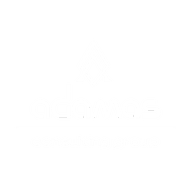The Adamas Consulting Group