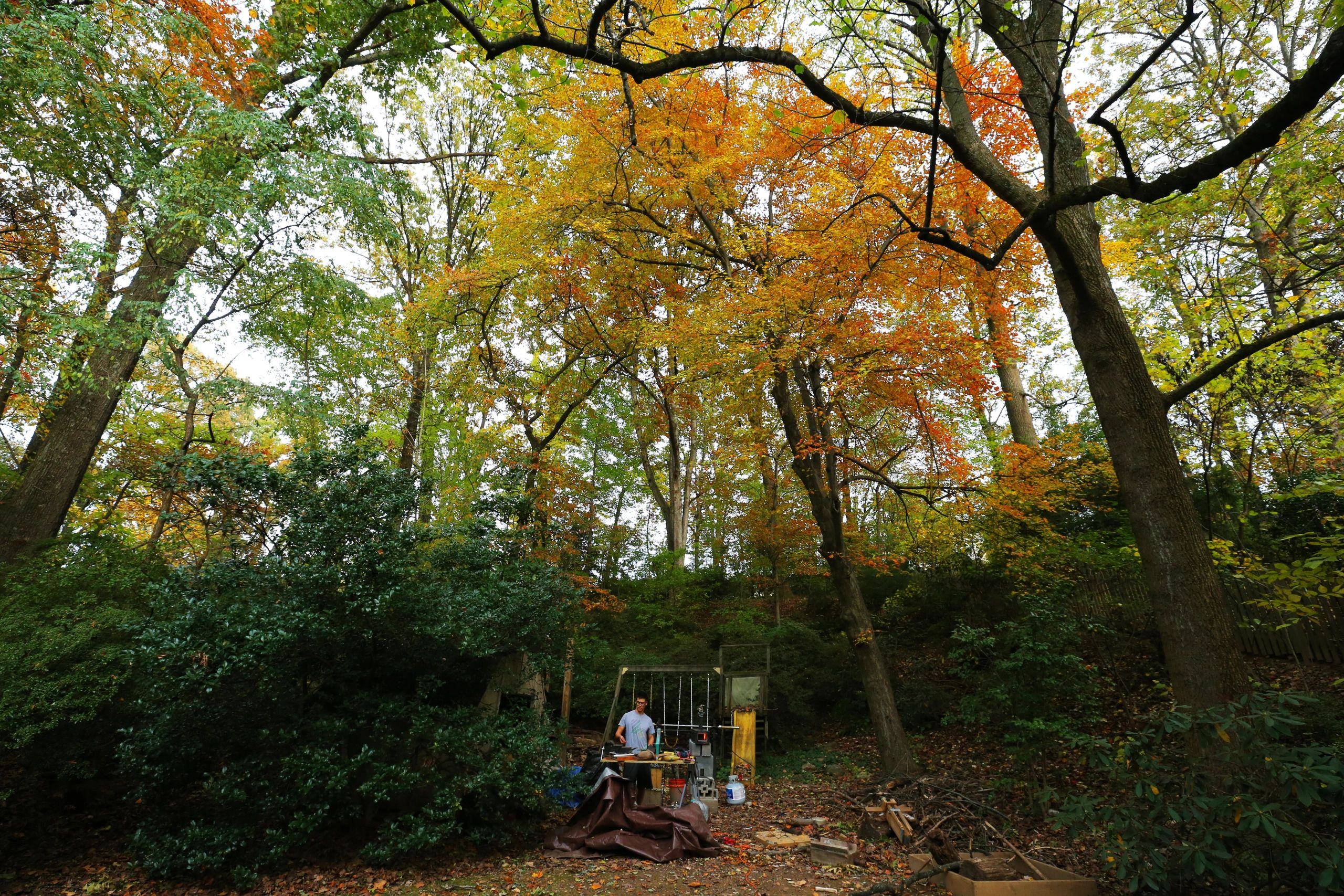 My Backyard Setup Backyard Blacksmith