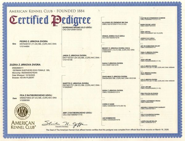 Certified pedigree document for a German Shepherd dog from the American Kennel Club.