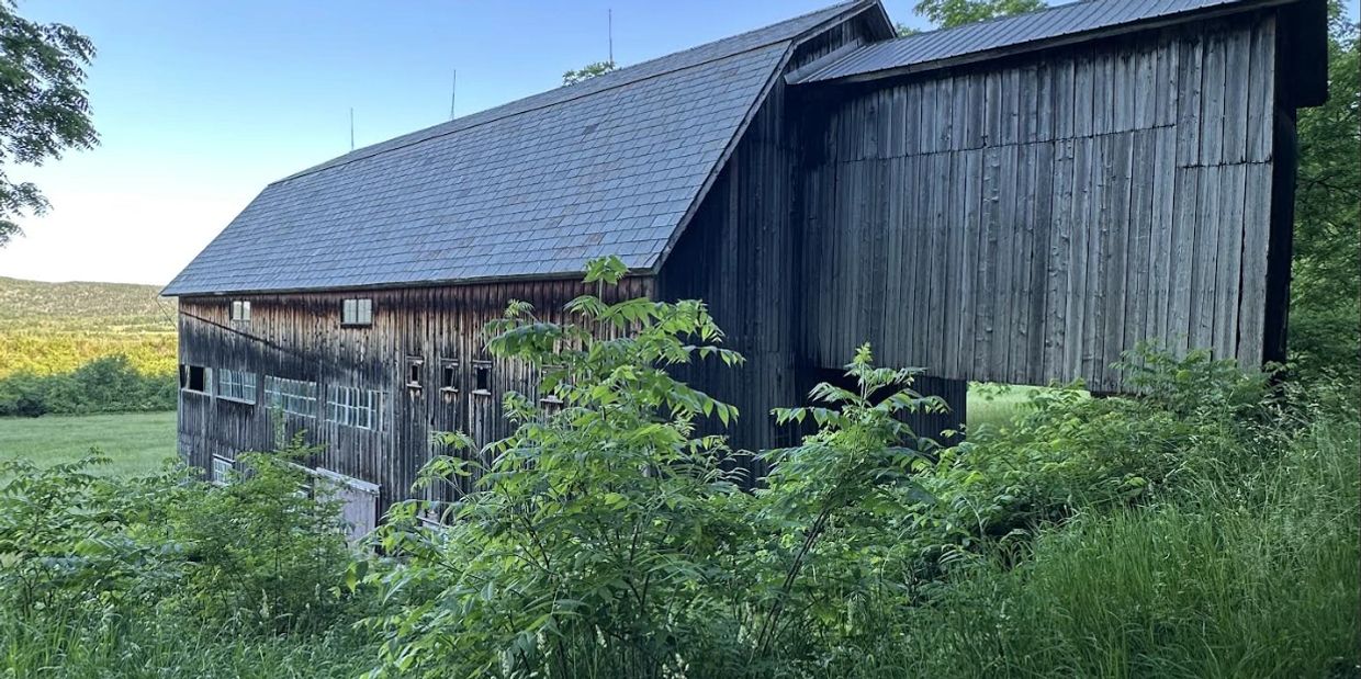 Old wooden barn amid greenery.