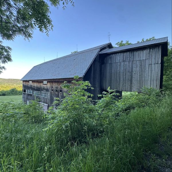Old wooden barn surrounded by greenery under a clear blue sky.