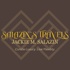 salazin's travels