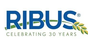RIBUS logo celebrating 30 years with a wheat design.