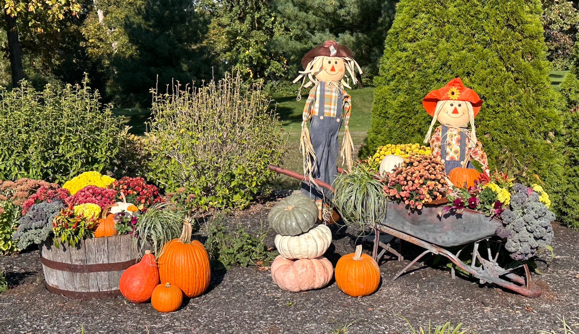 Fall Landscape Design