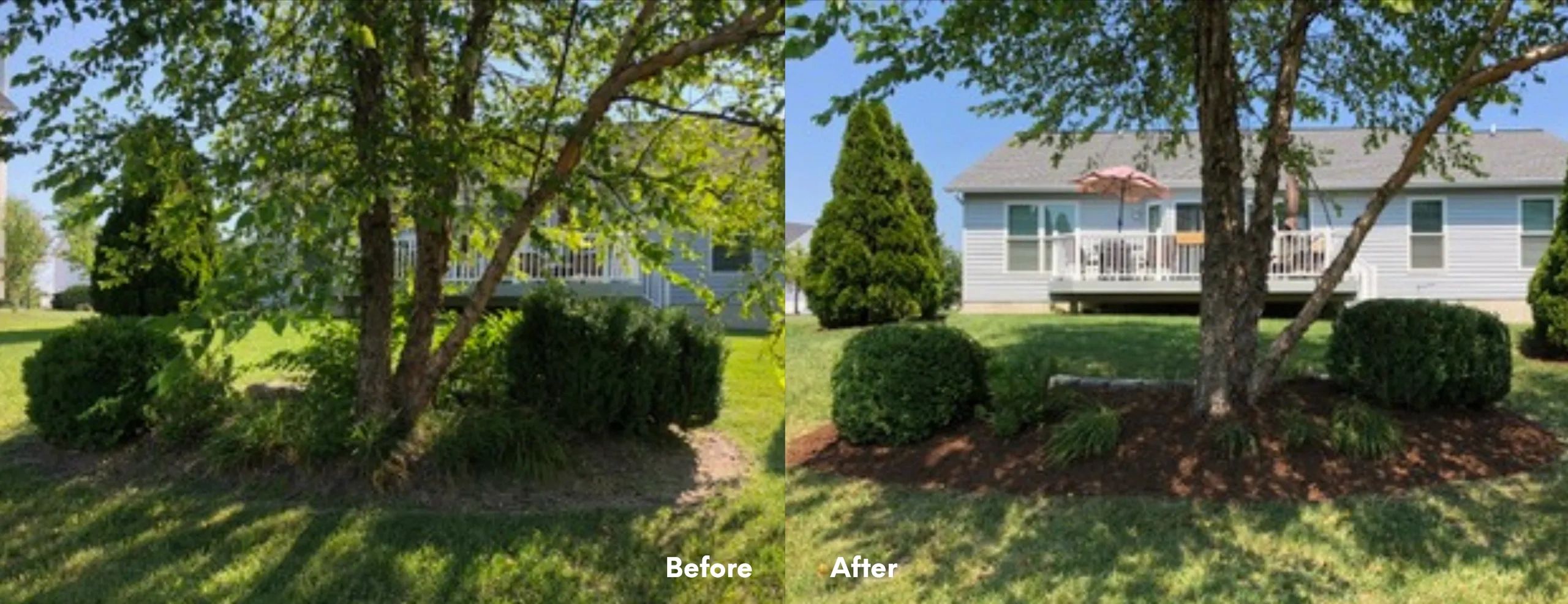 spring lawn clean up