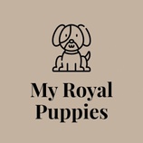 My Royal Puppies
