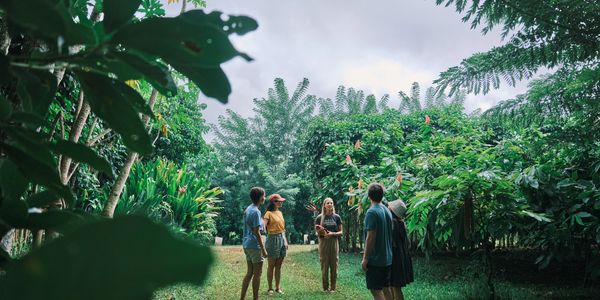 Credit:
Hawaii Tourism Authority (HTA) / Ben Ono