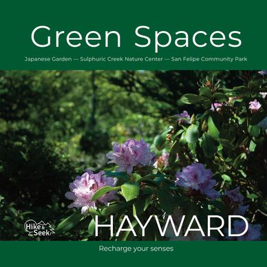 Close-up of blooming pink flowers in a lush green garden, promoting Hayward's green spaces.
