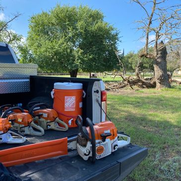 Stihl chainsaws ready to cut down a storm damaged Oak tree before stump grinding and removal.