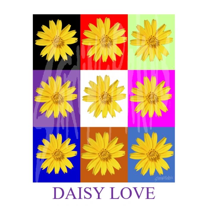 Collage of Yellow Daisies By Lizabeth  Stirling-Perkins. 