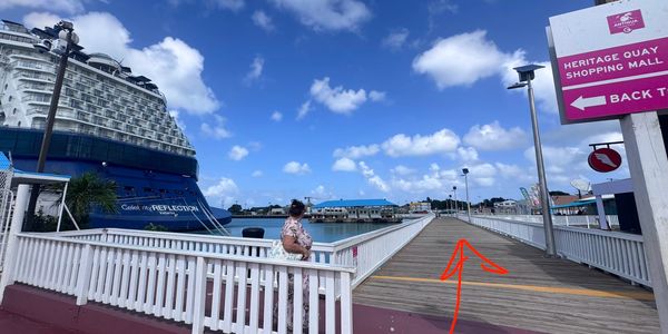 A woman stands by a dock next to a cruise ship under a blue sky.