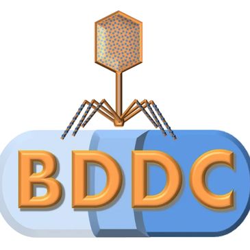 Bacteriophage and Drug Development Consultant Icon (BDDC)