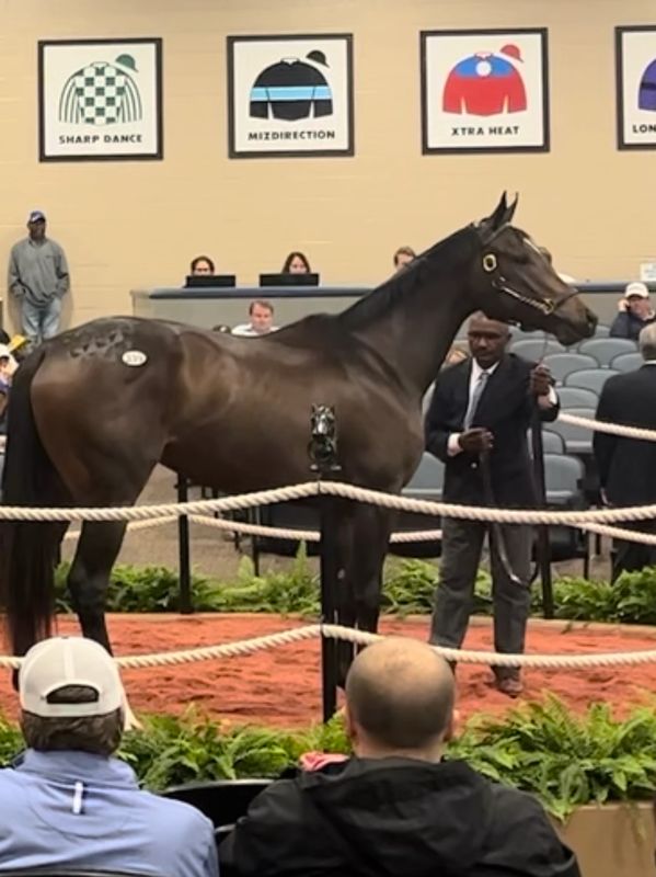 Prerequisite selling at the FT Midlantic Two Year Old in Training Sale