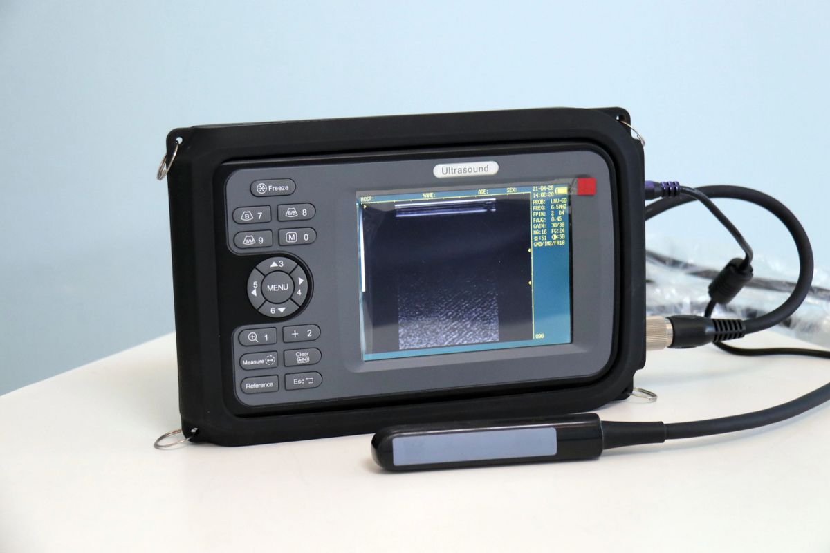 Handi-Scan Portable Large Animal Ultrasound System