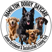 hamiltondoggydaycare.com.au