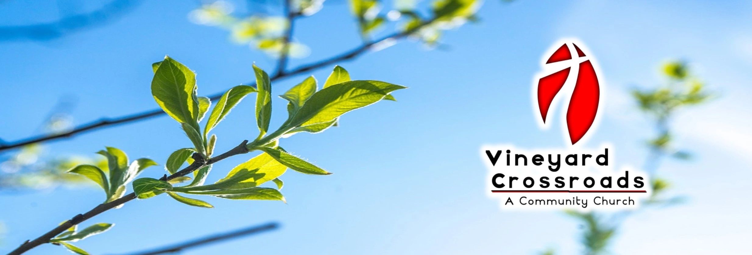 Vineyard Crossroads Church Worship, Ministries