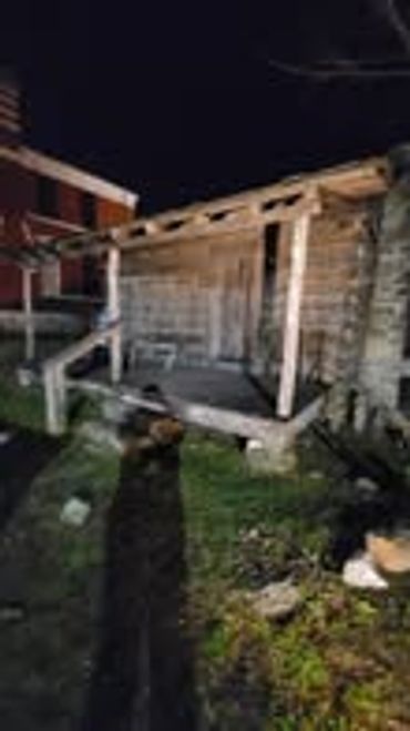 Chickens resting near a rustic coop at night in a backyard.