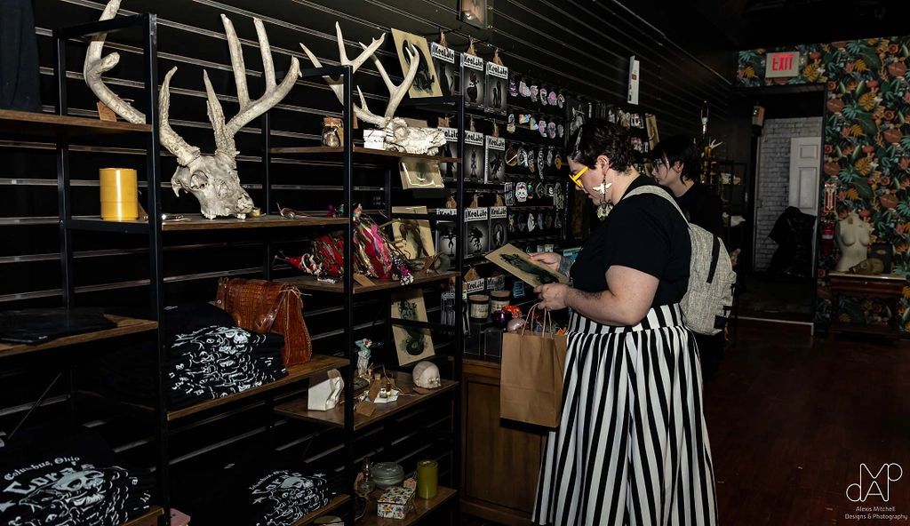 Cora's Curiosities