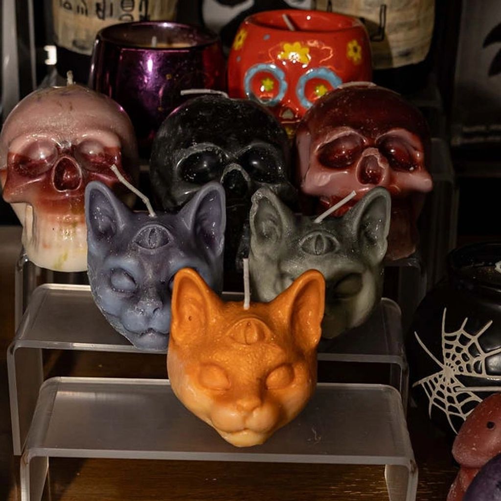 Cora's Curiosities