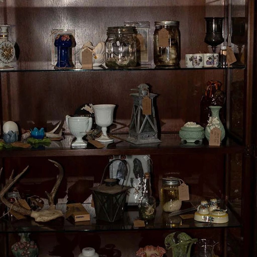Cora's Curiosities