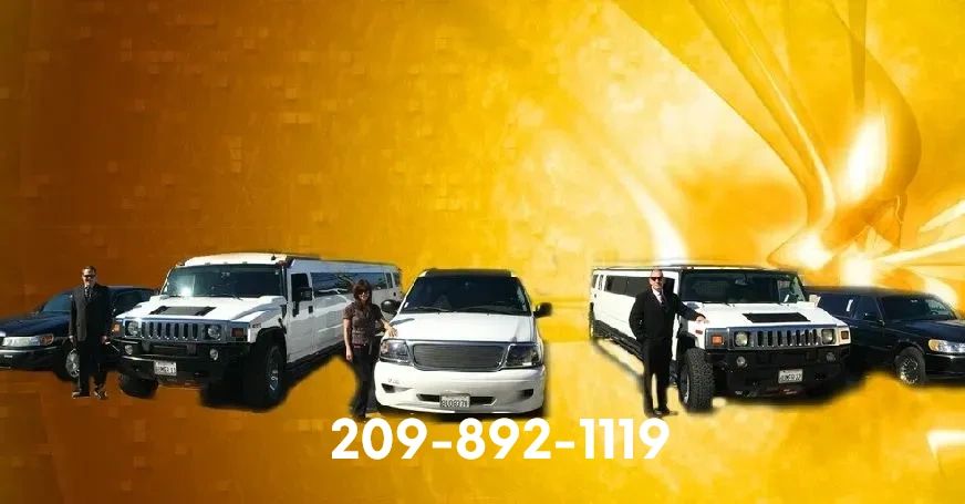 Limousine 
Party Bus