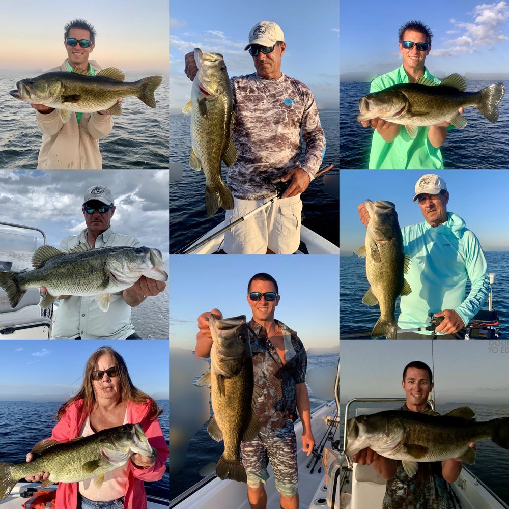 We are all about teaching you to fish like a pro!