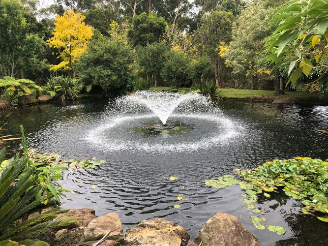 Dam fountain 