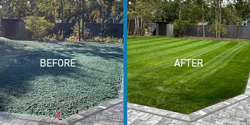 hydroseeding company in Boise, Idaho