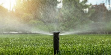 Local sprinkler service company in Boise