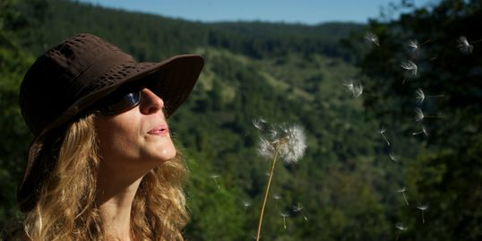 Dandelion Wish, Allergy Relief